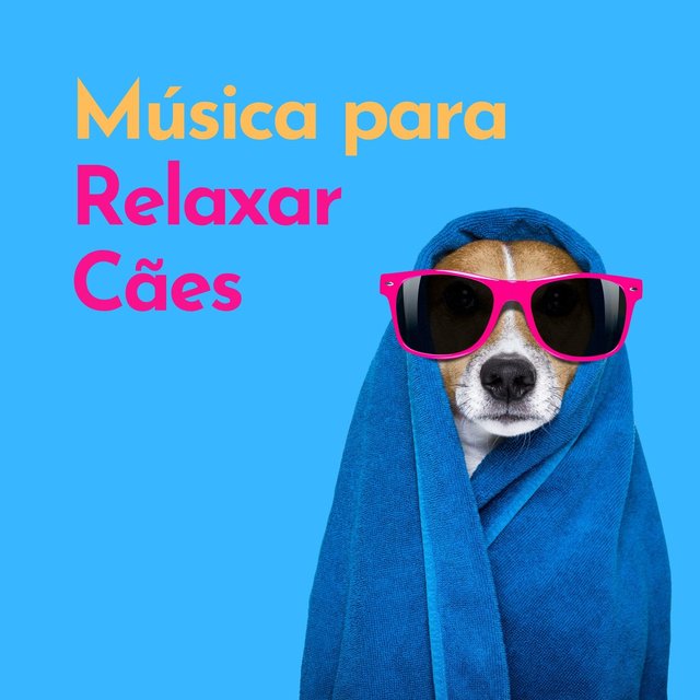 Música para Relaxar Cães: Músicas para Relaxar Cãe Agitado