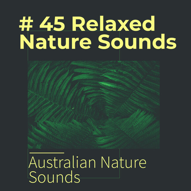 # 45 Relaxed Nature Sounds
