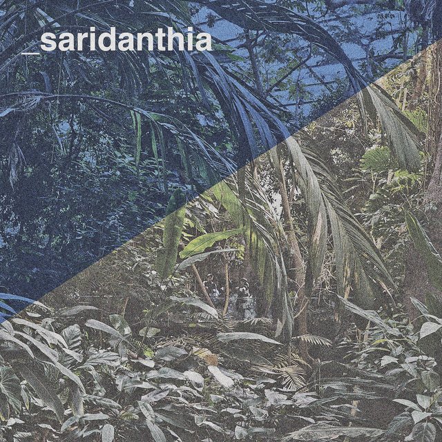 Saridanthia