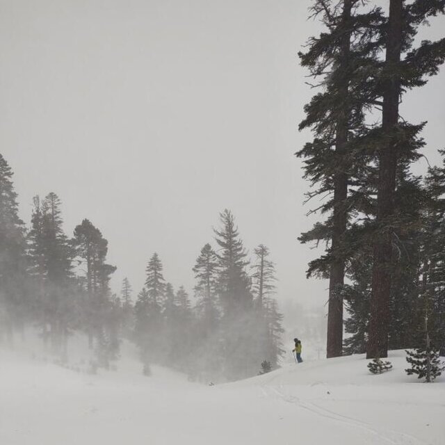 Snowed In
