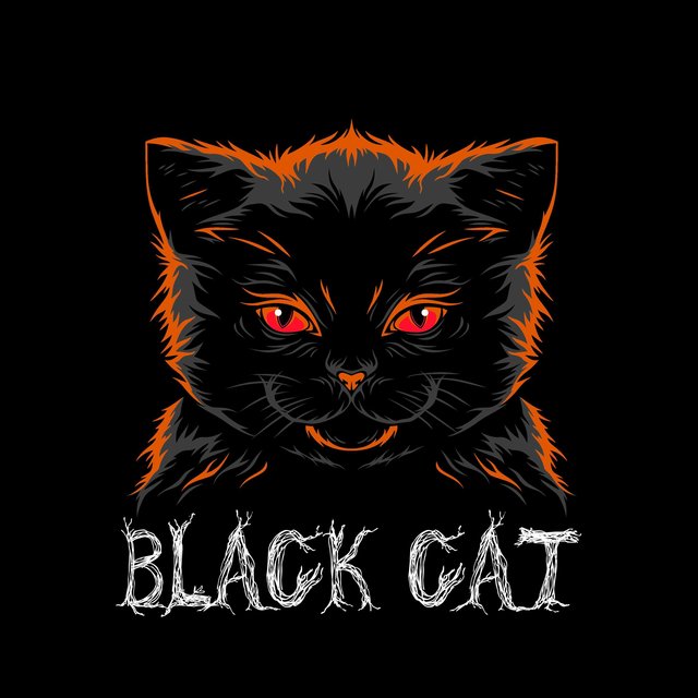 Black Cat