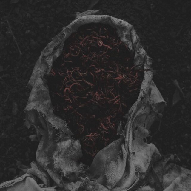 Cover art for album Stillamentum by Gorrch