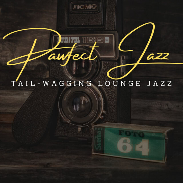 Cover art for album  by Pet Aura