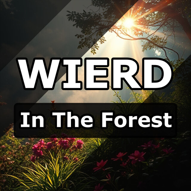 In the Forest