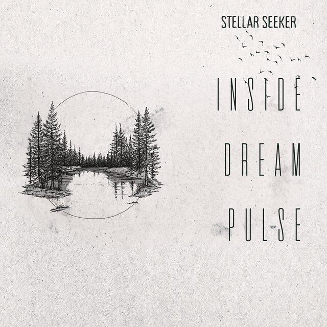 Inside Dream Pulse