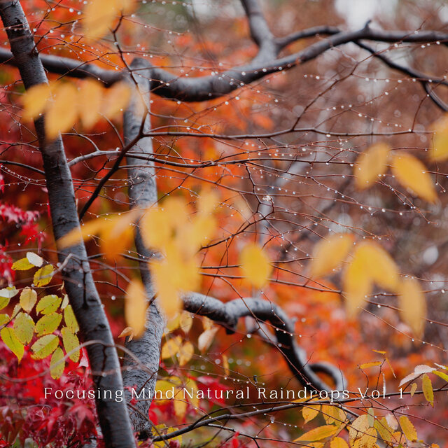 Focusing Mind Natural Raindrops Vol. 1