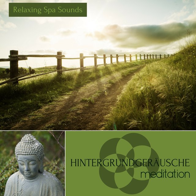 Hintergrundgeräusche Meditation - Naturgeräusche und Soundeffekte, Meditationsmusik zur Entspannung und Beruhigung (Meeresrauschen, Vogelstimmen und Regengeräusche Edition)