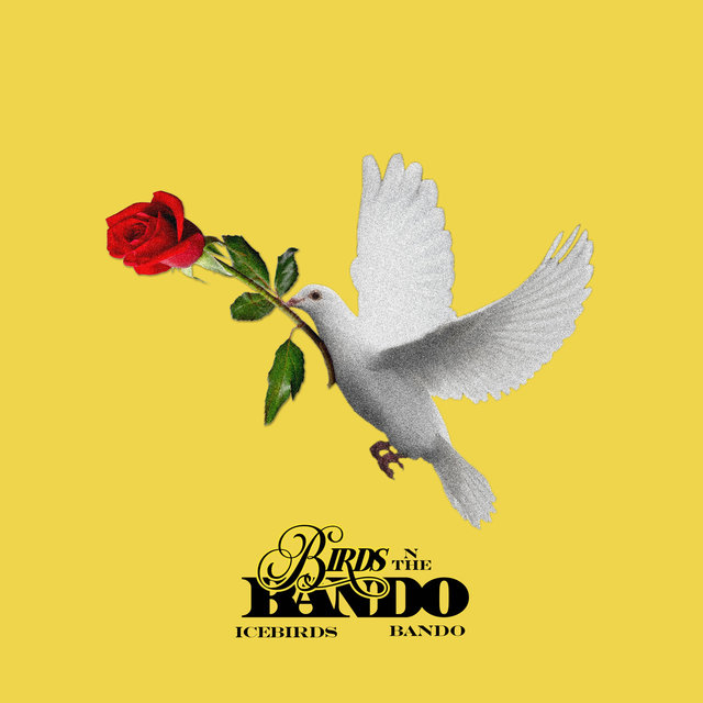 Birds n the Bando