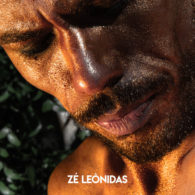 Zé Leônidas