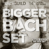 Cantata No.133: Ich freue mich in dir (3rd Day of Christmas), BWV133: v. Recitative (Bass): Wohlan, des Todes Furcht und Schmerz