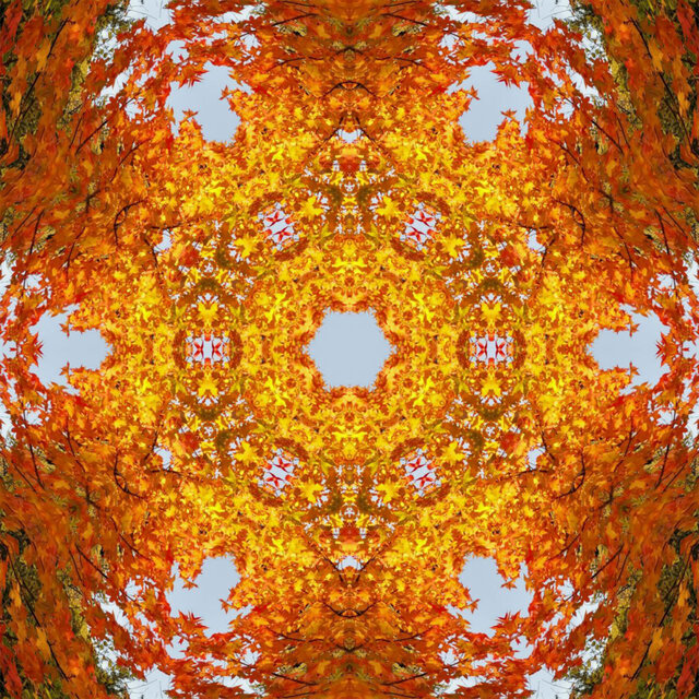Tripping (Binaural Mix)