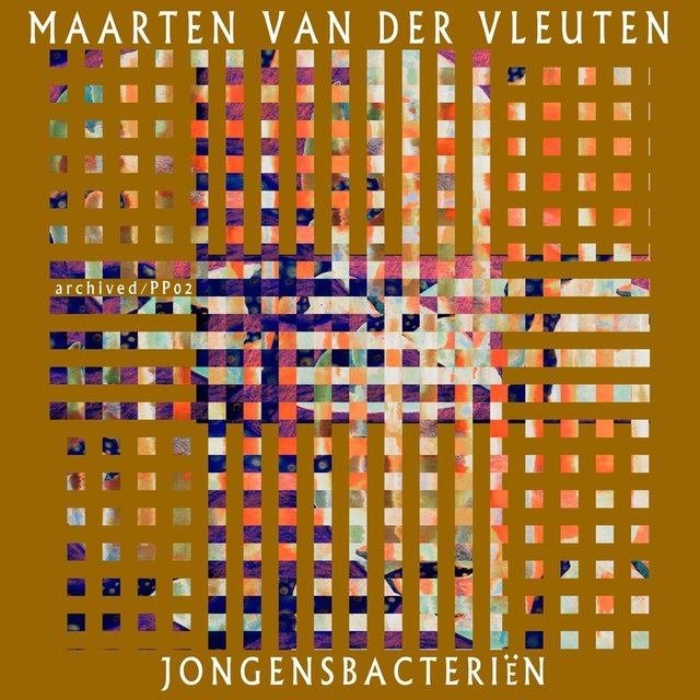 Jongensbacteriën