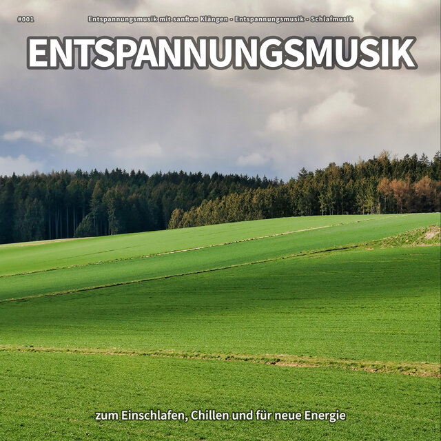 #001 Entspannungsmusik zum Einschlafen, Chillen und für neue Energie