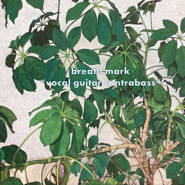 vocal guitar contrabass