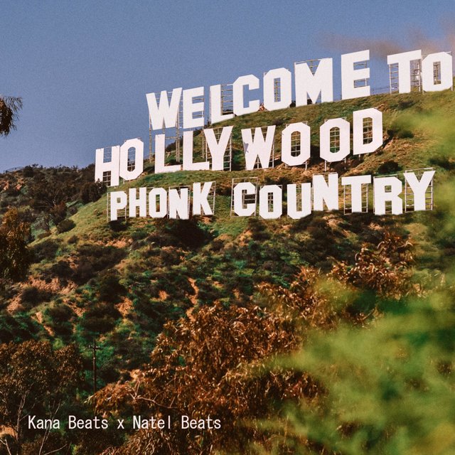 WELCOME TO PHONK COUNTRY