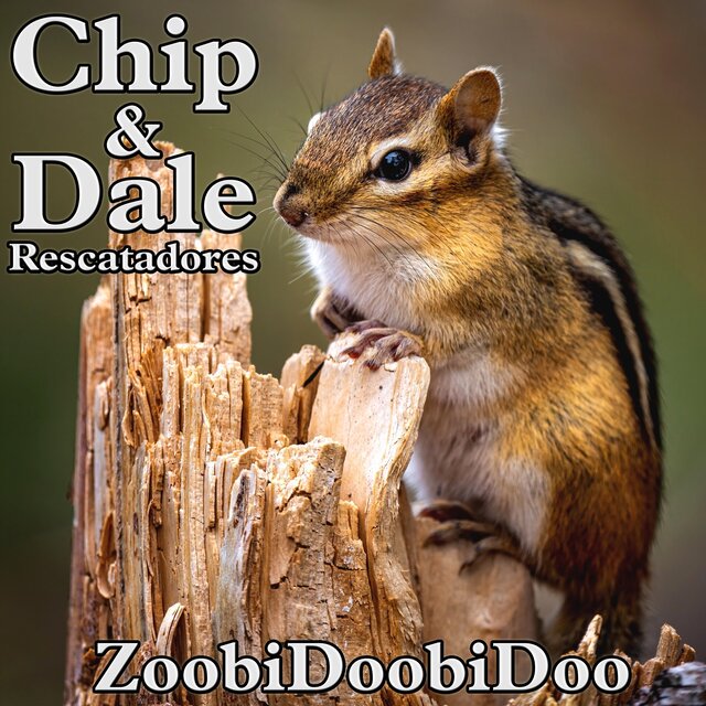 Chip y Dale: Rescatadores