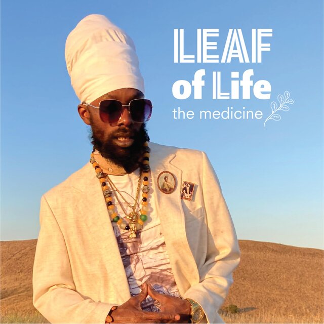 The Medicine