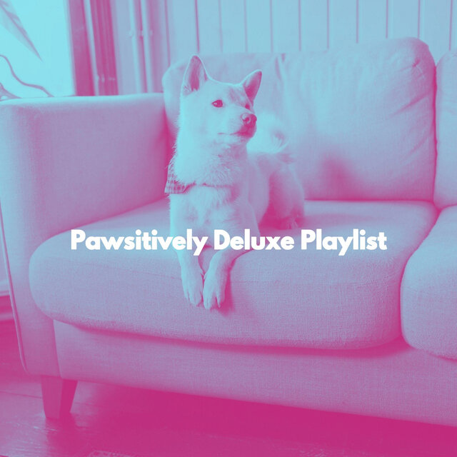 Pawsitively Deluxe Playlist