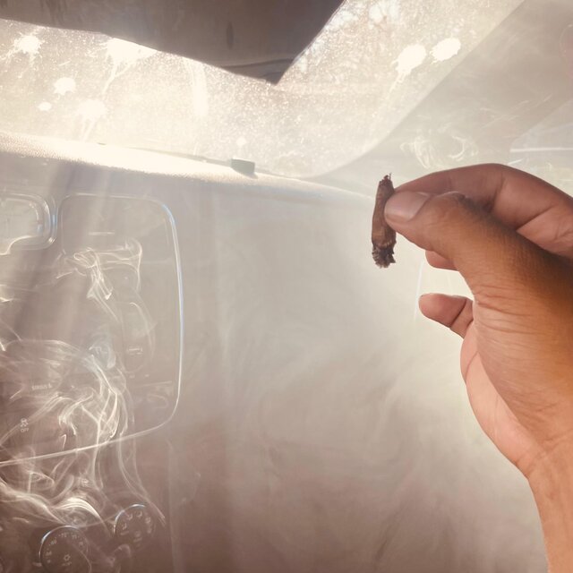 Die In The Smoke