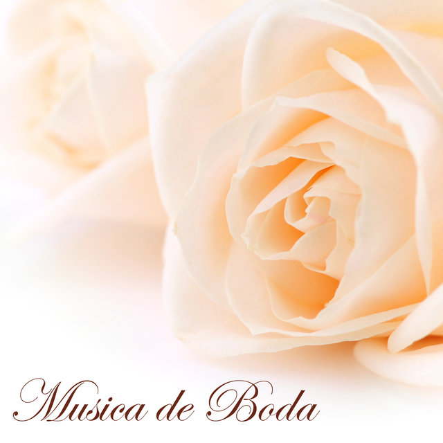 Musica de Boda - Musica para Bodas y Canciones Instrumentales Romanticas para Ceremonia de Boda y Luna de Miel