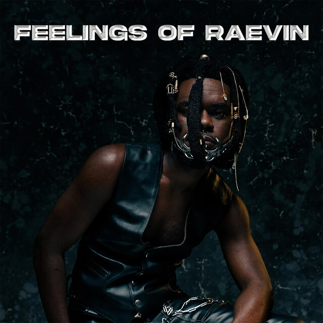 Feelings Of Raevin