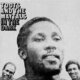Cover art for album In The Dark by Toots & The Maytals