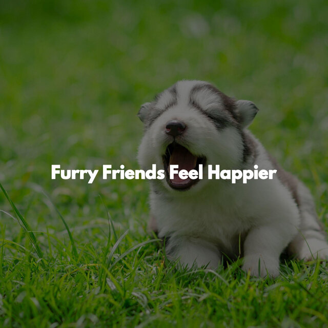 Furry Friends Feel Happier
