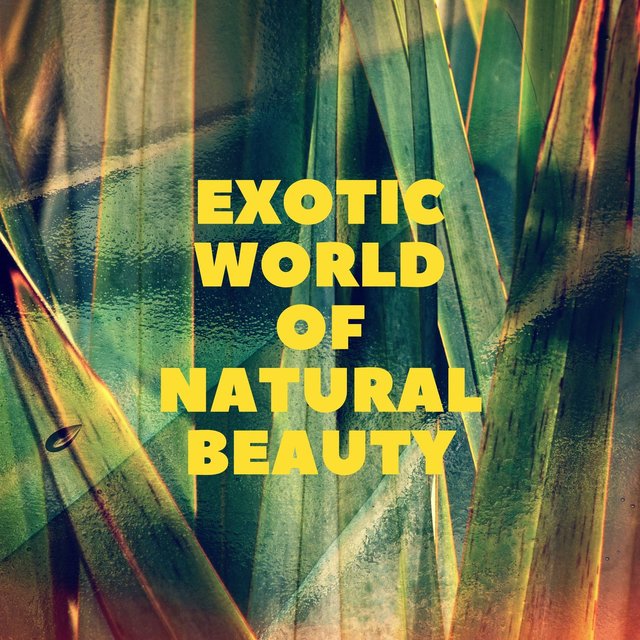 Exotic World of Natural Beauty