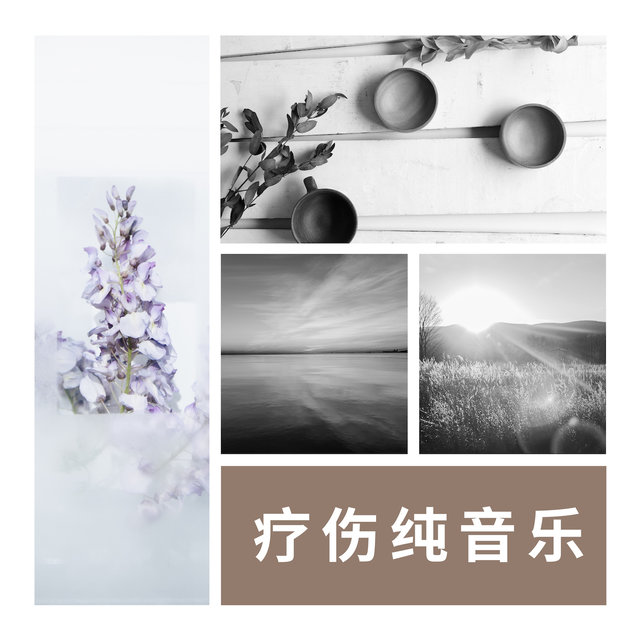 疗伤纯音乐 - 温柔的纯音乐和安静歌曲为了心碎的女孩子和小姐姐们