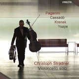 Sonata for Cello Solo, Op. 28: III. Adagio