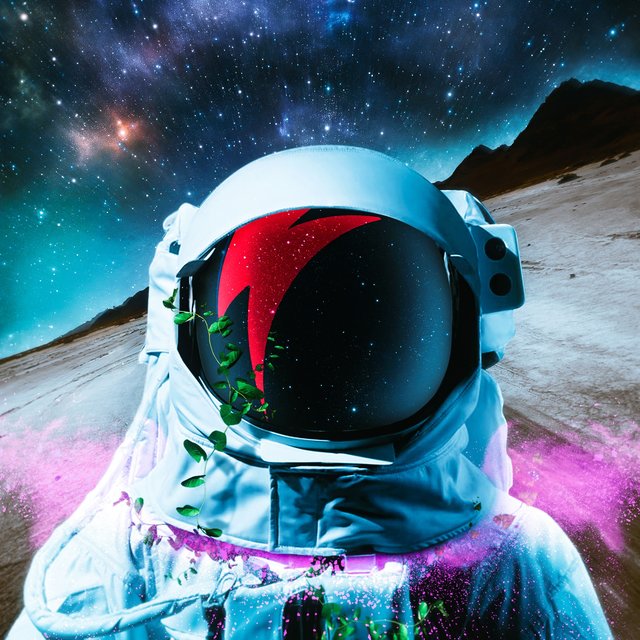 Touch the Stars