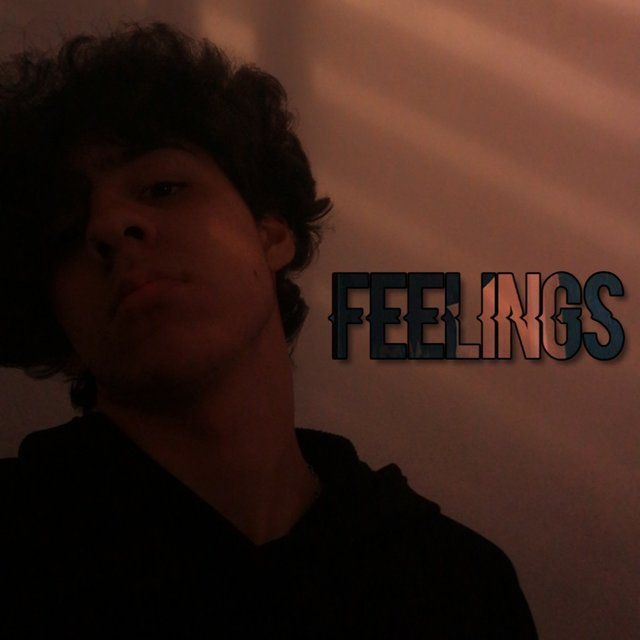 Feelings