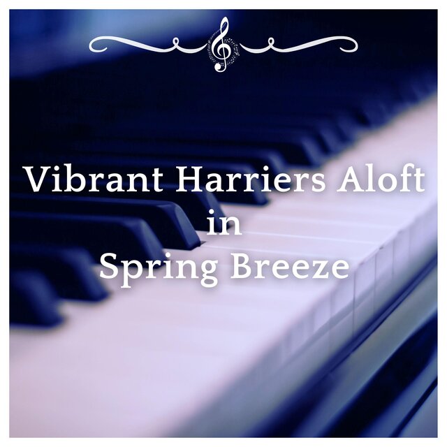 Vibrant Harriers Aloft in Spring Breeze