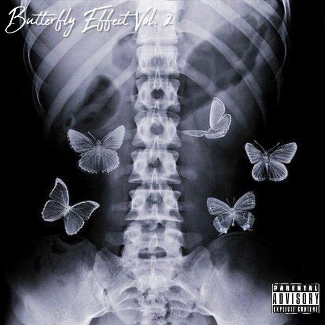Butterfly Effect Vol. 2