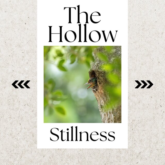 The Hollow Stillness