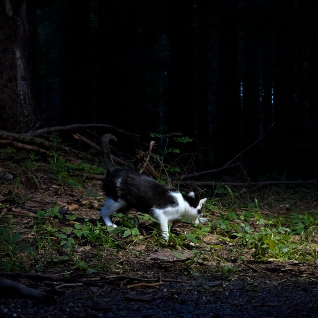 all that's left (slowed down)