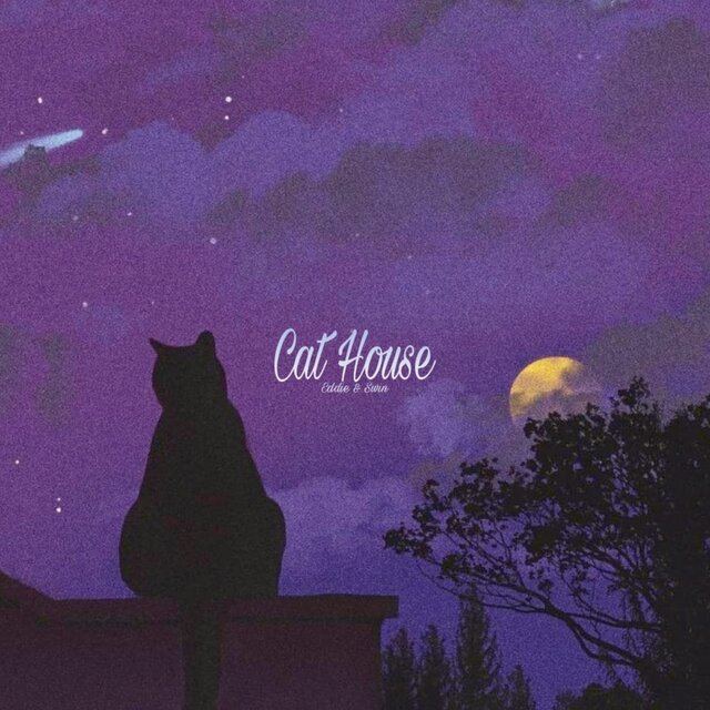 CAT HOUSE