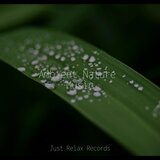 Enchanted Veil Melody