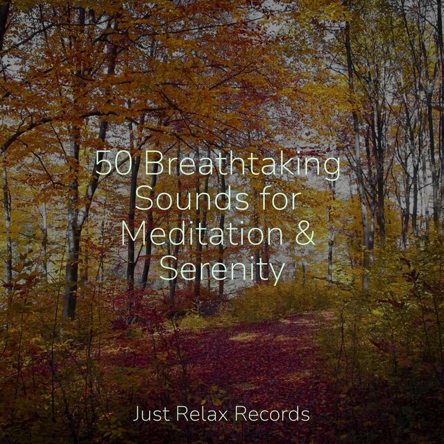 50 Breathtaking Sounds for Meditation & Serenity