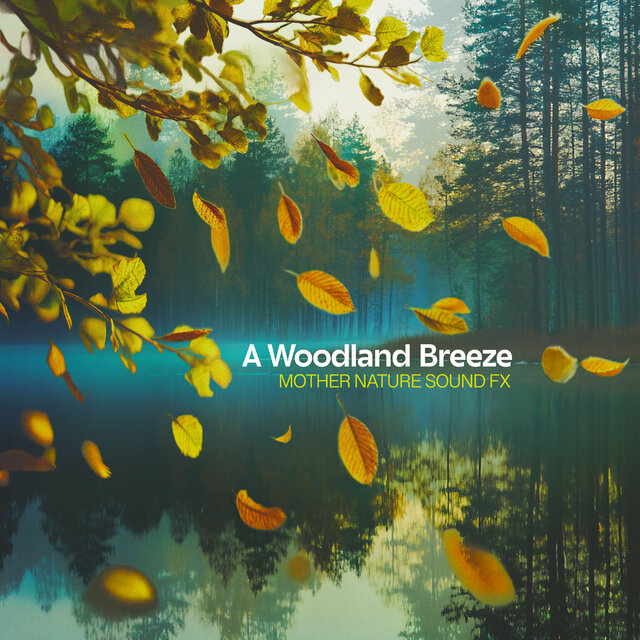 A Woodland Breeze