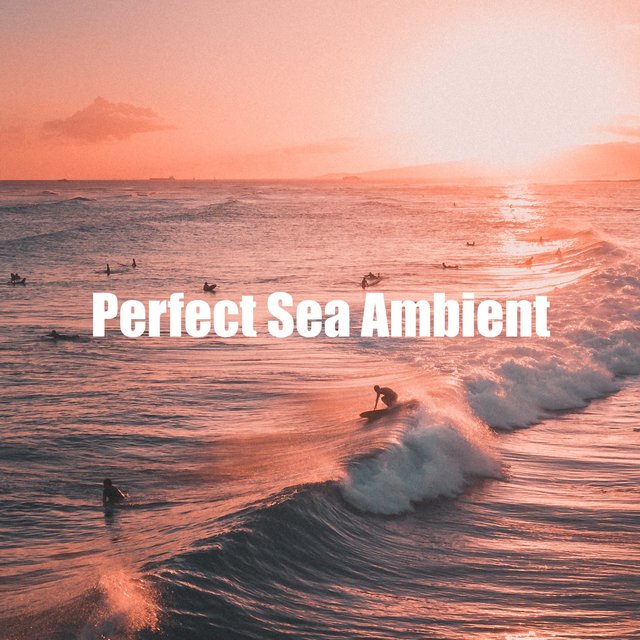 Perfect Sea Ambient