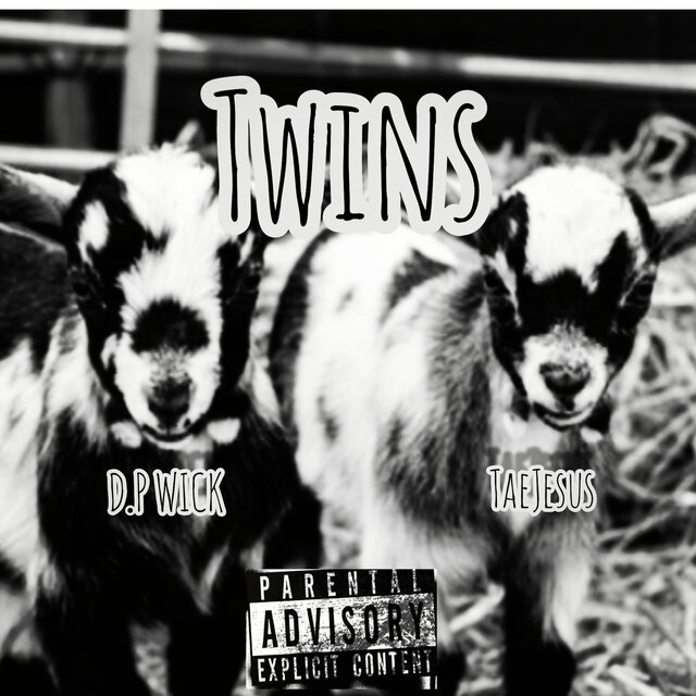 Twins