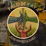 Palo de Yaya