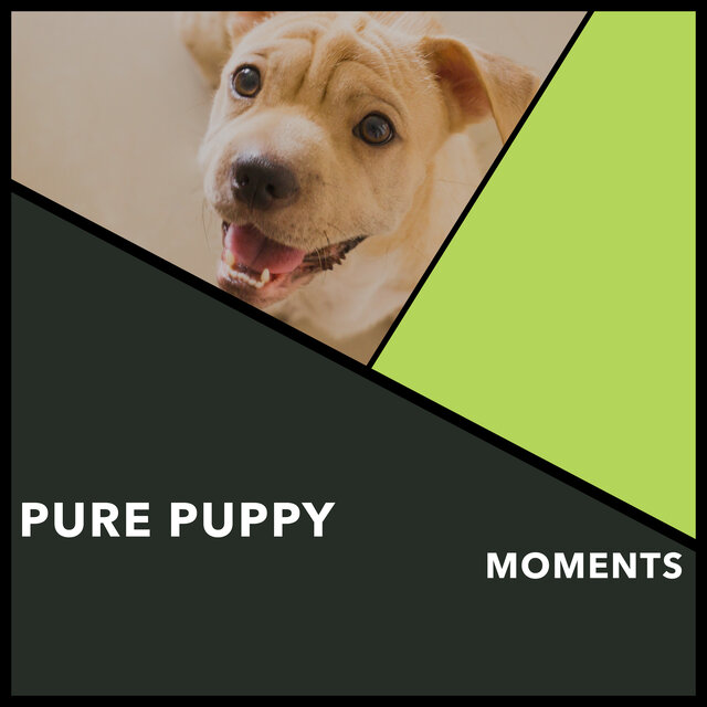 Pure Puppy Moments