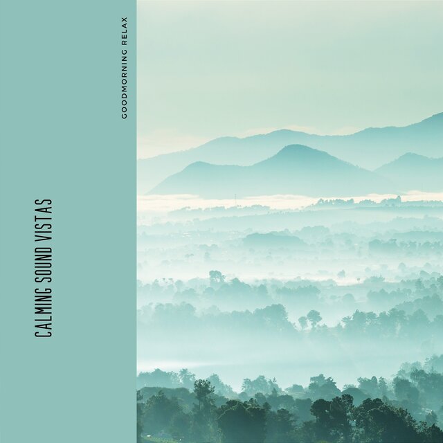 Calming Sound Vistas: Hush of the Horizon in 432 Hz