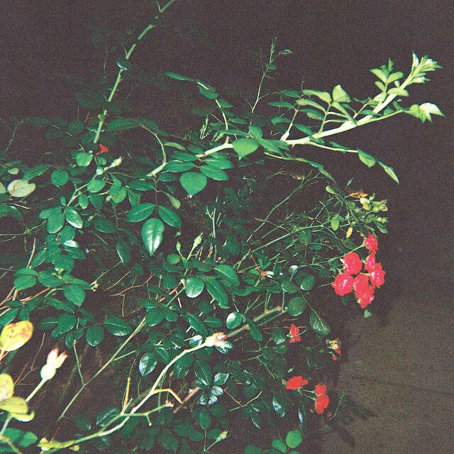 demos vol2