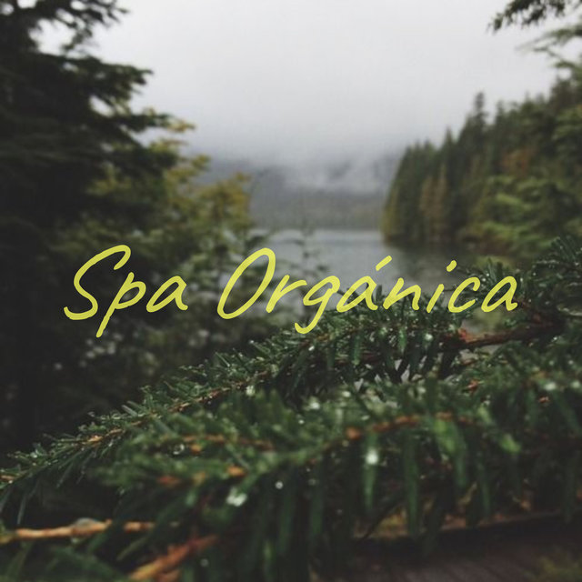 Spa Orgánica