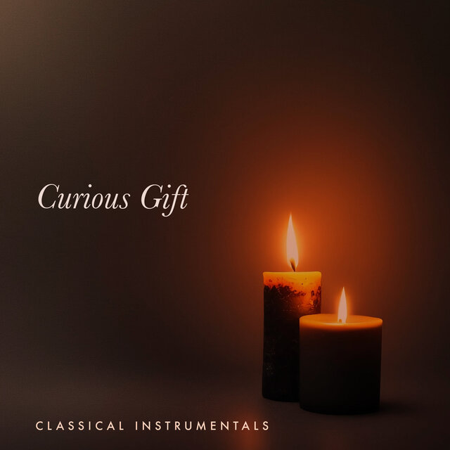 Curious Gift