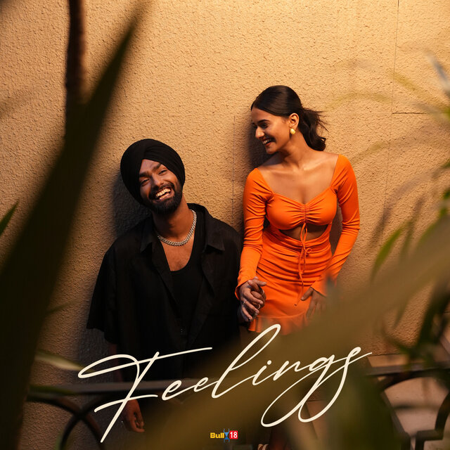 Feelings
