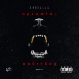 Friday Anthem (feat. blak trouper)